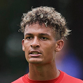 Frederik Alves Ibsen