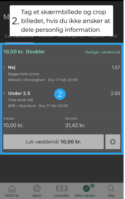 Dette billede har en tom ALT-egenskab (billedbeskrivelse). Filnavnet er image-170.png