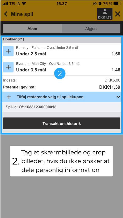 Dette billede har en tom ALT-egenskab (billedbeskrivelse). Filnavnet er image-171.png