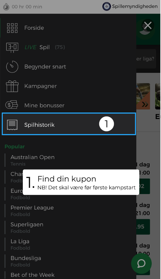 Dette billede har en tom ALT-egenskab (billedbeskrivelse). Filnavnet er image-173.png