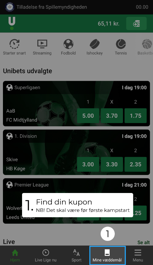 Dette billede har en tom ALT-egenskab (billedbeskrivelse). Filnavnet er image-176.png