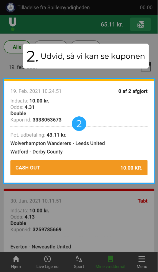 Dette billede har en tom ALT-egenskab (billedbeskrivelse). Filnavnet er image-177.png