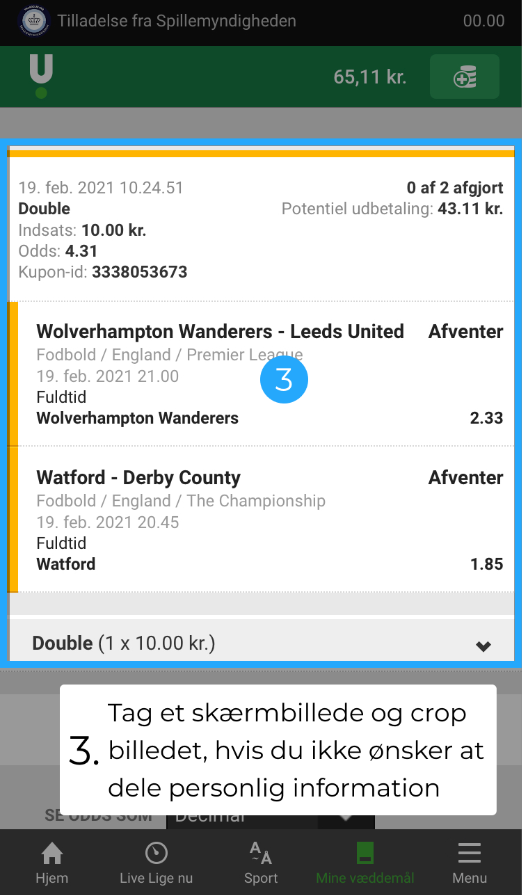 Dette billede har en tom ALT-egenskab (billedbeskrivelse). Filnavnet er image-178.png