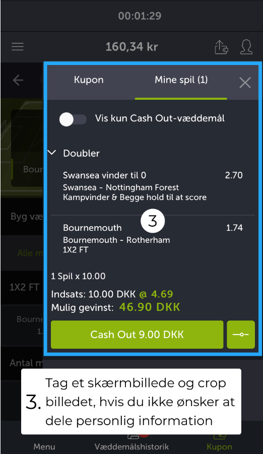 Dette billede har en tom ALT-egenskab (billedbeskrivelse). Filnavnet er image-180.png