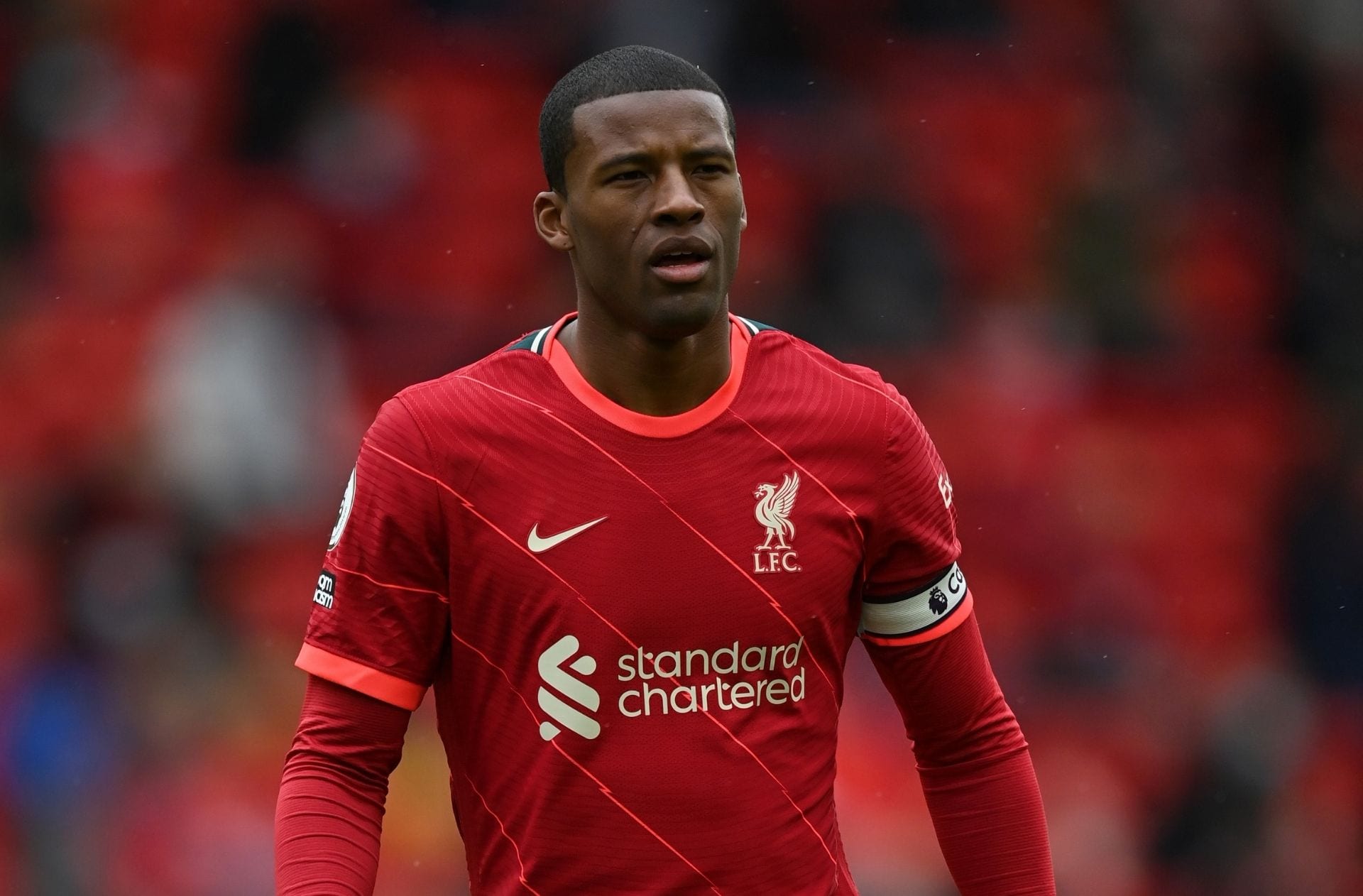 Georginio Wijnaldum, Barcelona