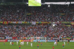 World Cup 2010 goal