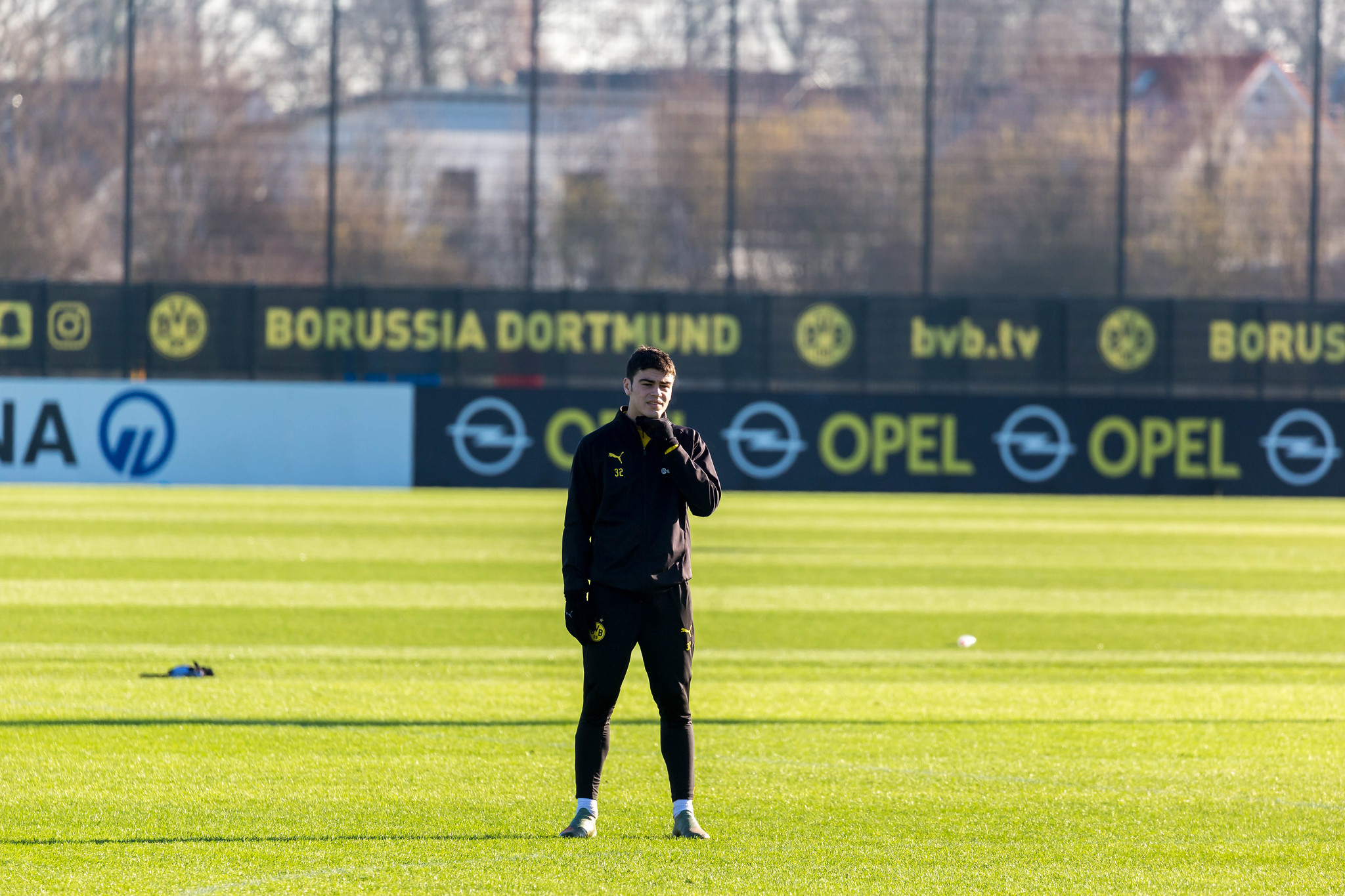 Giovanni Reyna at Dortmund